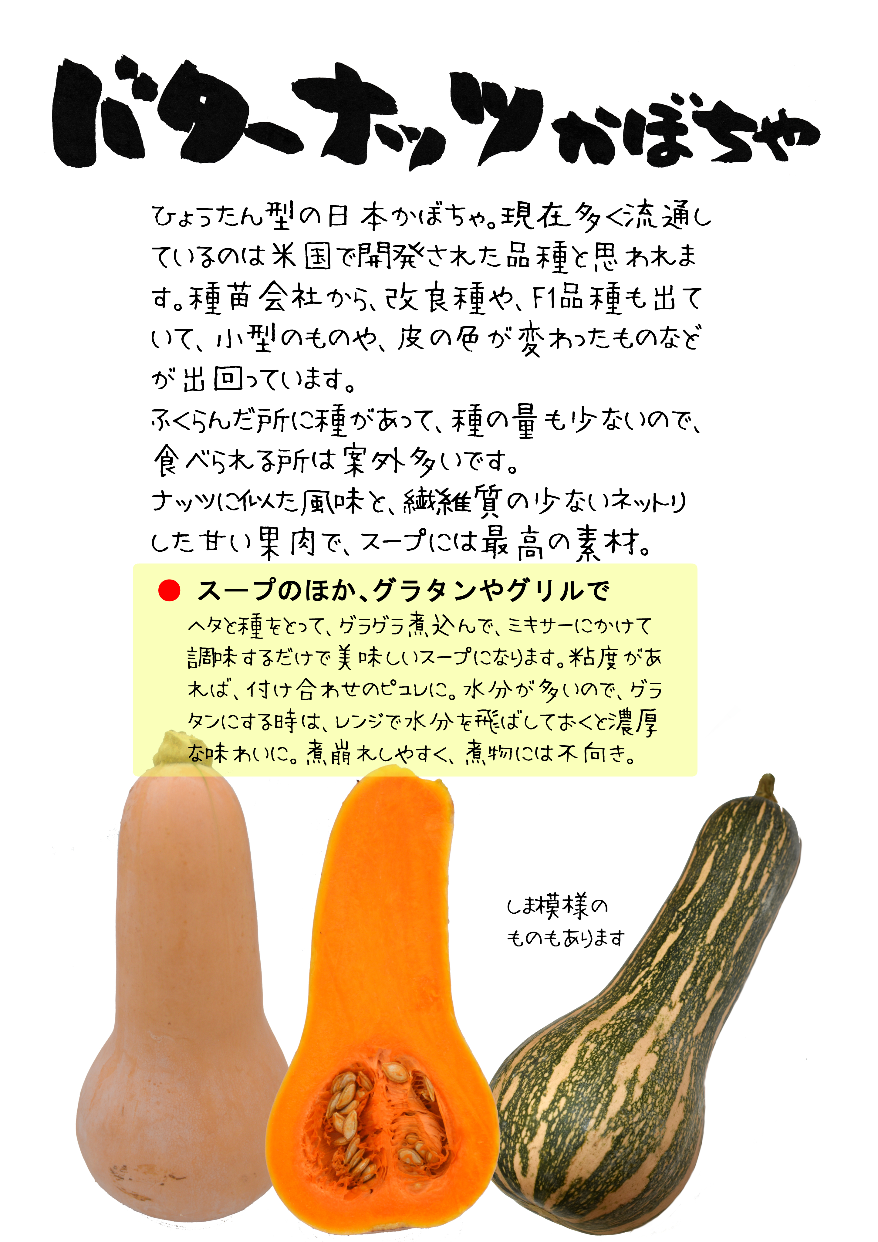 バターナッツかぼちゃは生で食べるとおいしい！食べ頃や見分け方も紹介 – 野口ファーム