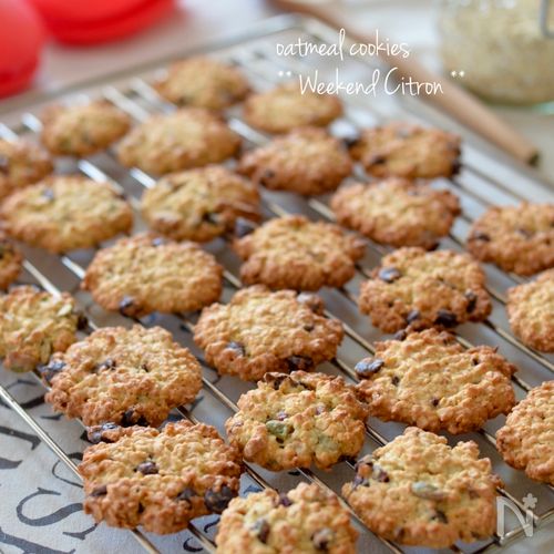 塩オートミール クッキー缶Oatmeal Salt cookie can