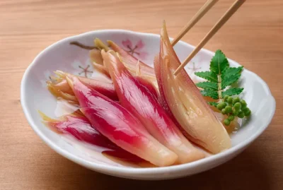 みょうがの美味しい切り方長持ちさせる保存方法も紹介 – 元気な畑のごちそう便