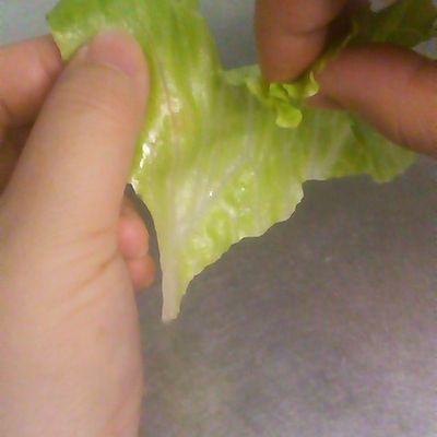 プロの技!レタスが美味しくなるちぎり方 by カルミちゃんクックパッド簡単おいしいみんなのレシピが392万品