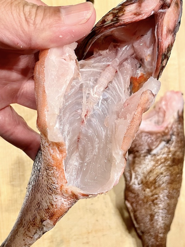 カサゴの煮付け