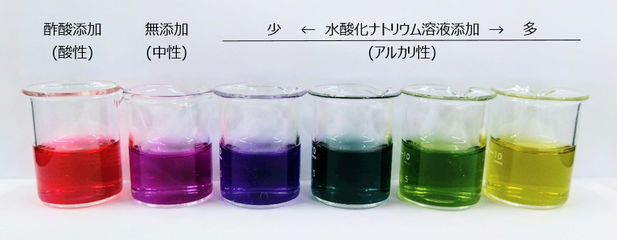 キャベツはカルシウム豊富な食材と一緒に食べよう！ 公式 まごころケア食