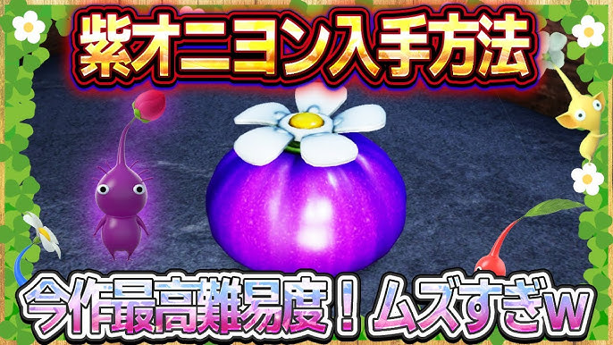 紫たまねぎ礼讃◇必殺調味料情報 - 油屋ごはん