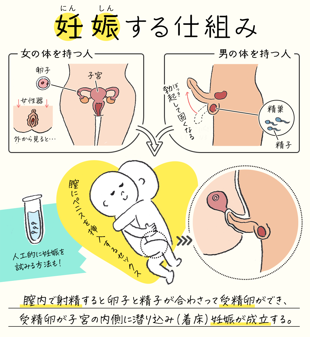 女性器について、正しい知識を持ちましょう | ゆかりレディースクリニック