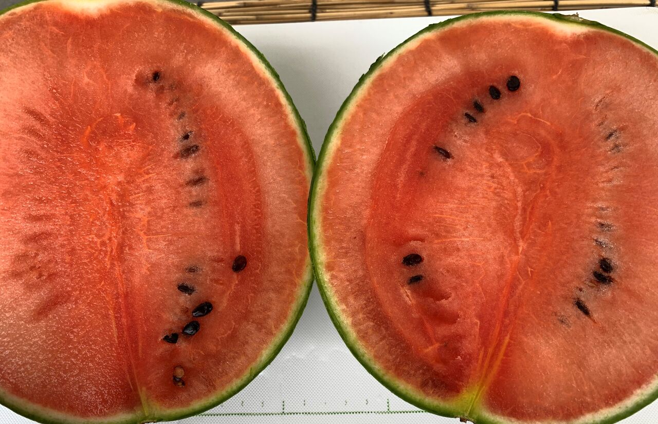 スイカを甘くする裏技って？野菜ソムリエの救済法に「こんなの知らない」 - macaroni