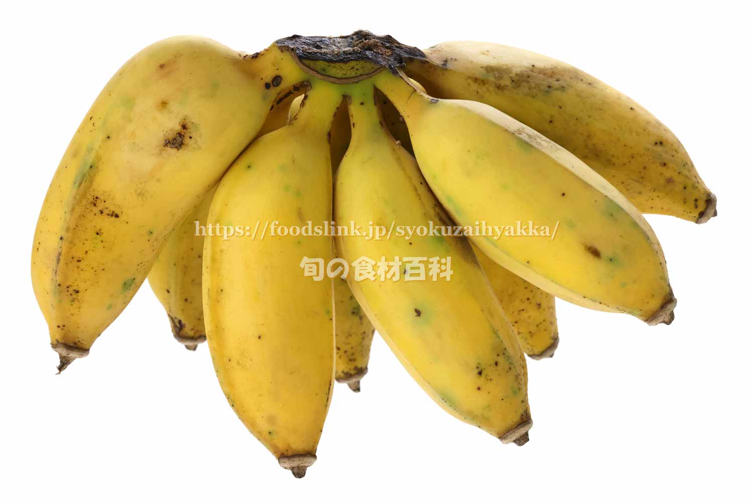 ☆ブラジルで最もポピュラーなお菓子の一つ！☆MJの☆気ままに更新☆食べ物ブログ