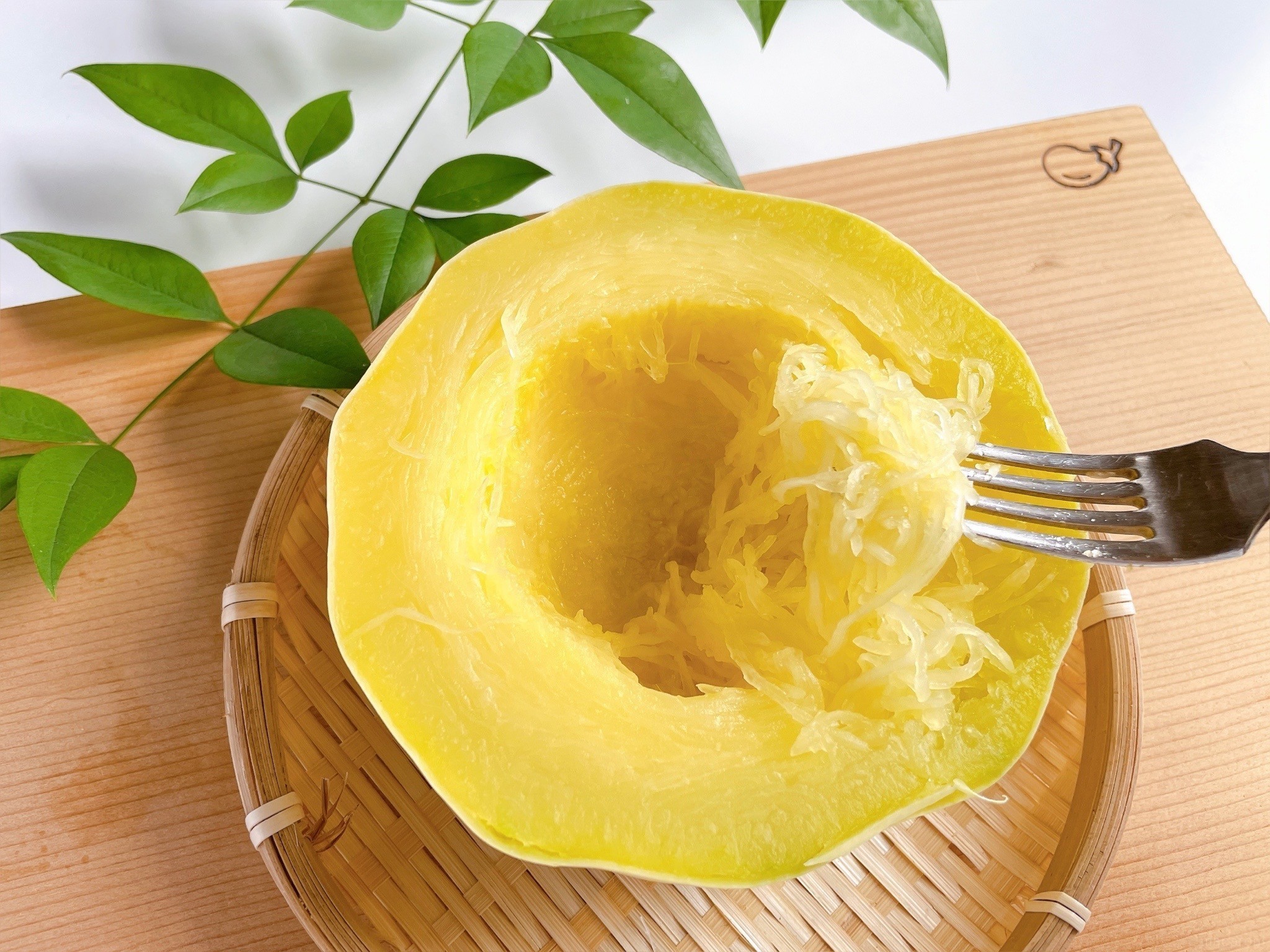 かぼちゃの育て方 日々のお手入れ編 誘引 そうめんかぼちゃ、金糸瓜