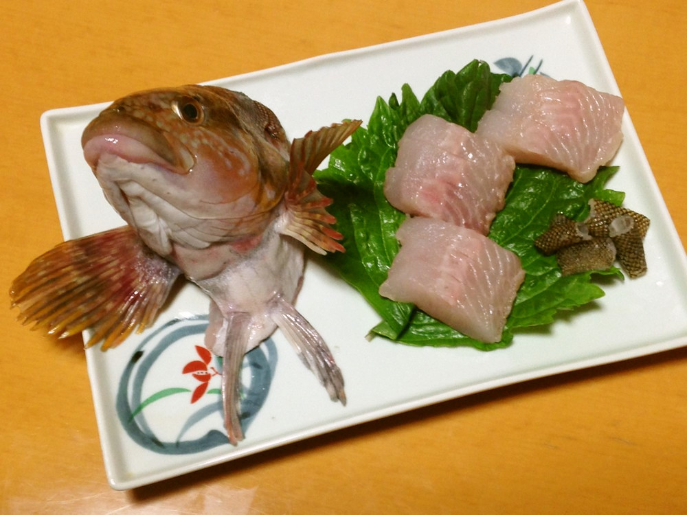 アイナメの炙り刺身 by あおもりの肴クックパッド簡単おいしいみんなのレシピが392万品