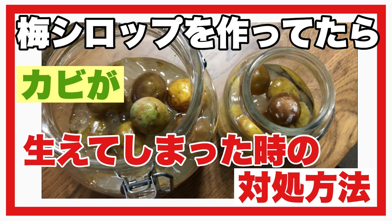 梅干しの白い粒はカビ?それとも塩?」老舗が教える判別方法に担当者も驚く5万いいねCHANTO WEB