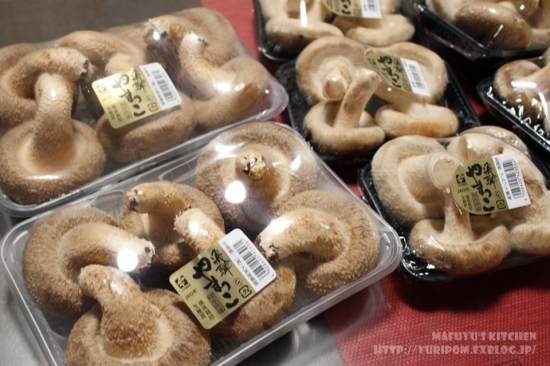 美味しい良質なしいたけの見分け方・選び方姫野一郎商店 明治十年創業