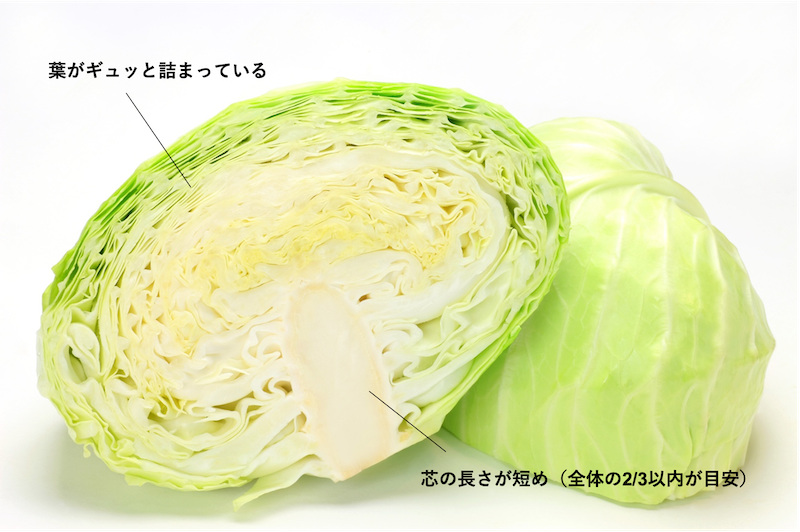 ざく切りとっておきレシピキユーピ