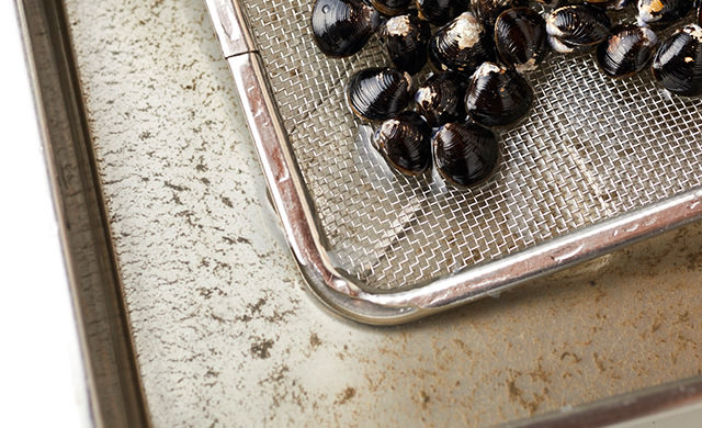 潮干狩りから帰ったらコレ!あさりの砂抜き、我が家のリアルなやり方 - まゆむうblog