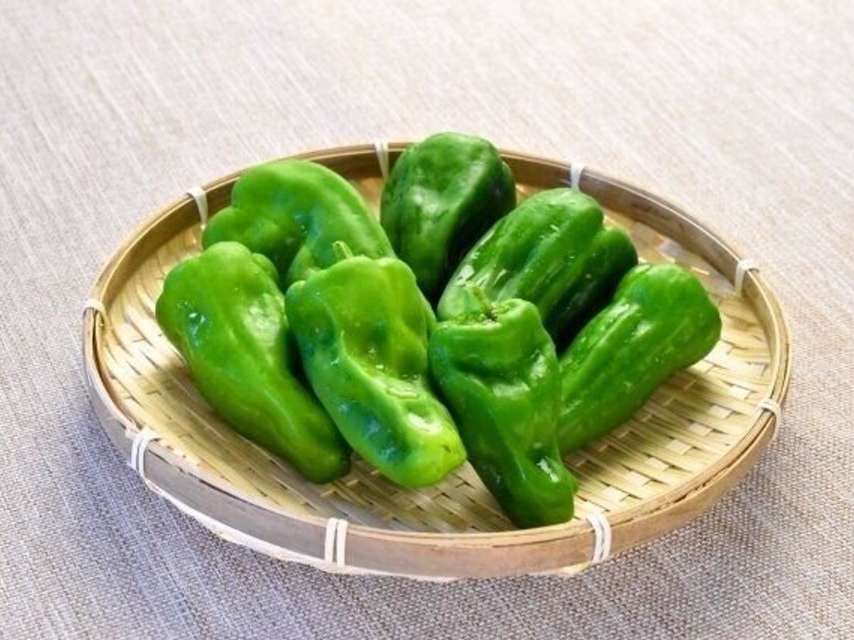 冷蔵・冷凍 ピーマンの保存方法。野菜ソムリエのアドバイスつき - macaroni