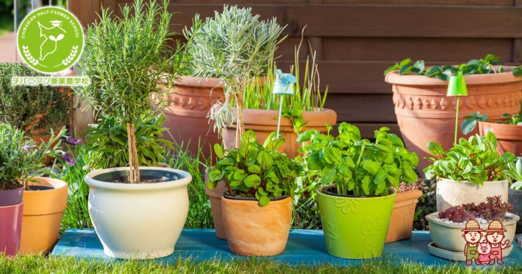 おしゃれにベランダ菜園を始める方法 マンション・アパートでもOK – UETE