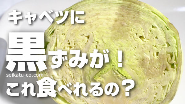 1,424 キャベツ 断面 Stock Photos, High-Res Pictures, and Images - Getty Imagesレタス, 野菜, かぼちゃ