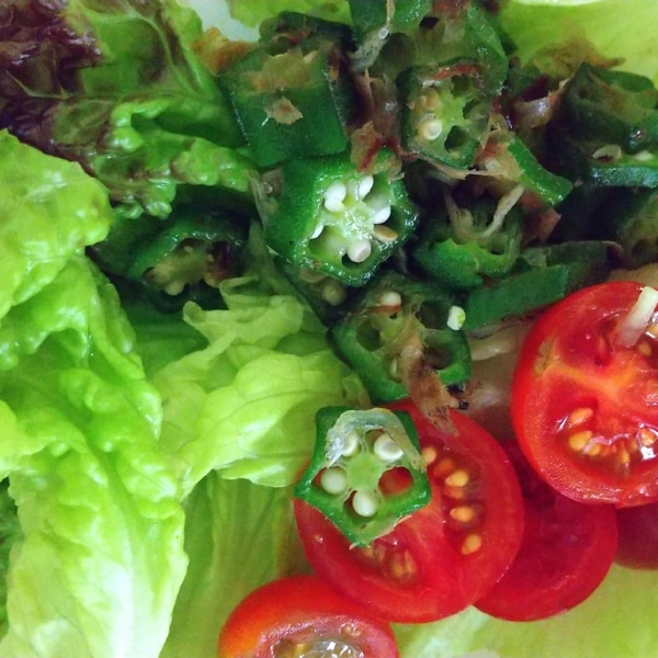 トマトコーポレーション ひまわりとオリーブのブレンドオイル １L×15本 ブレンドオイル オリーブオイル 送料無料 一部地域を除く:たかおマーケット - 通販 - Yahoo!ショッピング