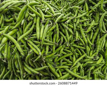 元気なそら豆のイラスト素材70681716- PIXTA