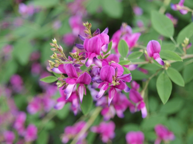 処暑」とは？ 2024年はいつ？ 旬の食べ物や「処暑の候」も解説Hint-Pot