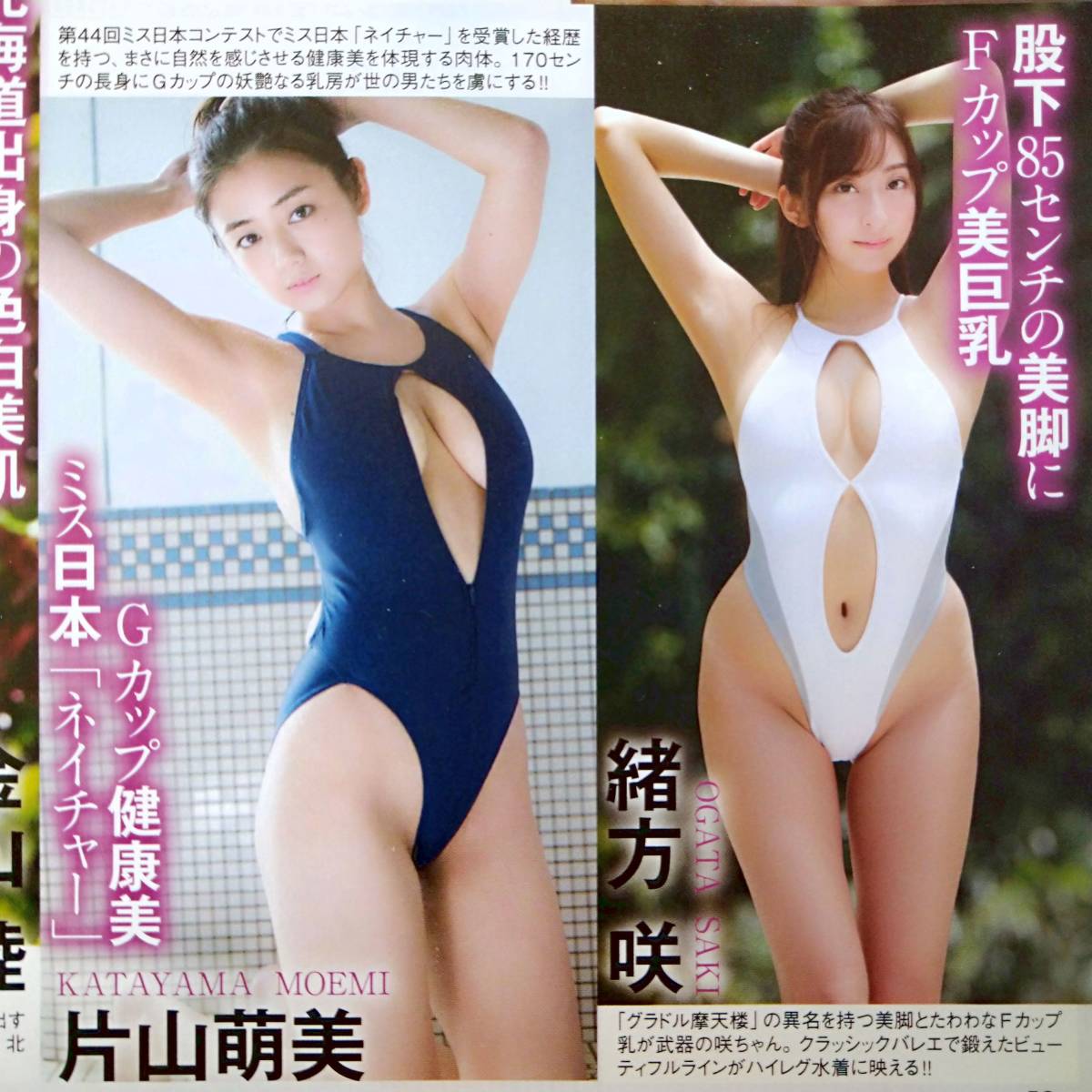 目立った傷や汚れなし】次世代美巨乳アイドルBEST30 彩川ひなの 西堀智美 朝比奈祐未 金山睦