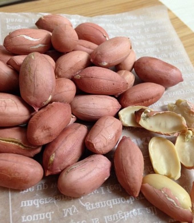 落花生を収穫、オーブンで焼いた - ランシモ