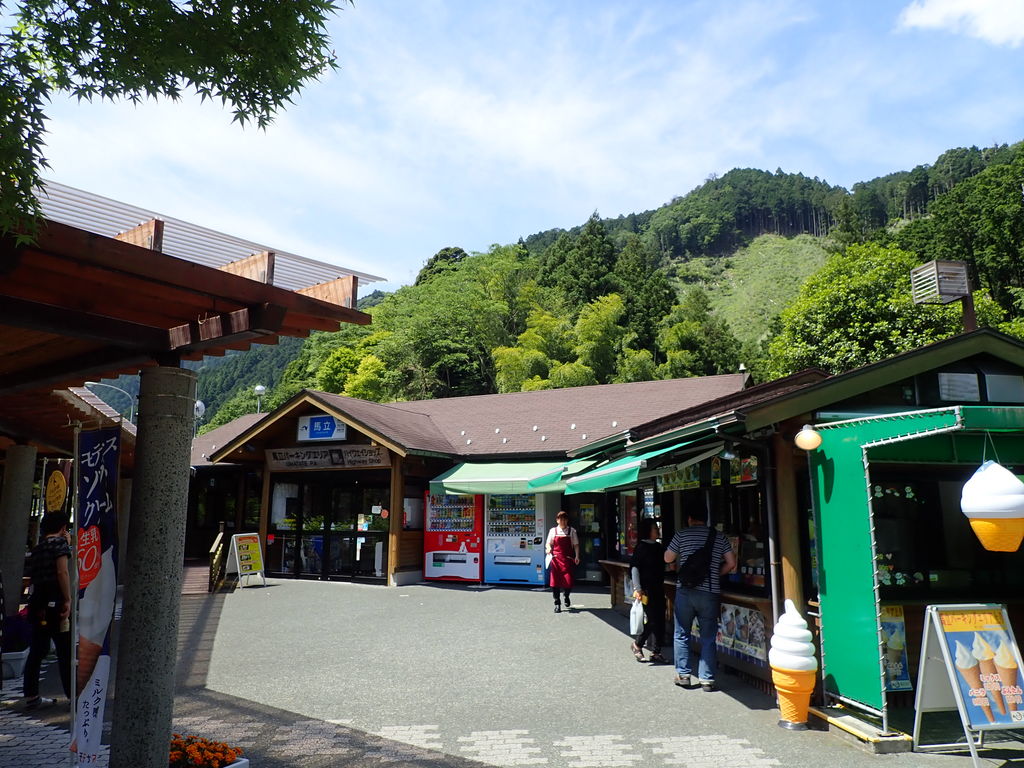 愛媛県四国中央市 藤原のイブキwith photograph