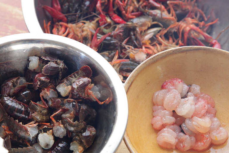 ザリガニ料理専門店『蝦道 シャドウ 』が高田馬場に誕生！中国で爆発的人気のザリガニ料理の魅力とは？ - dressing ドレッシング