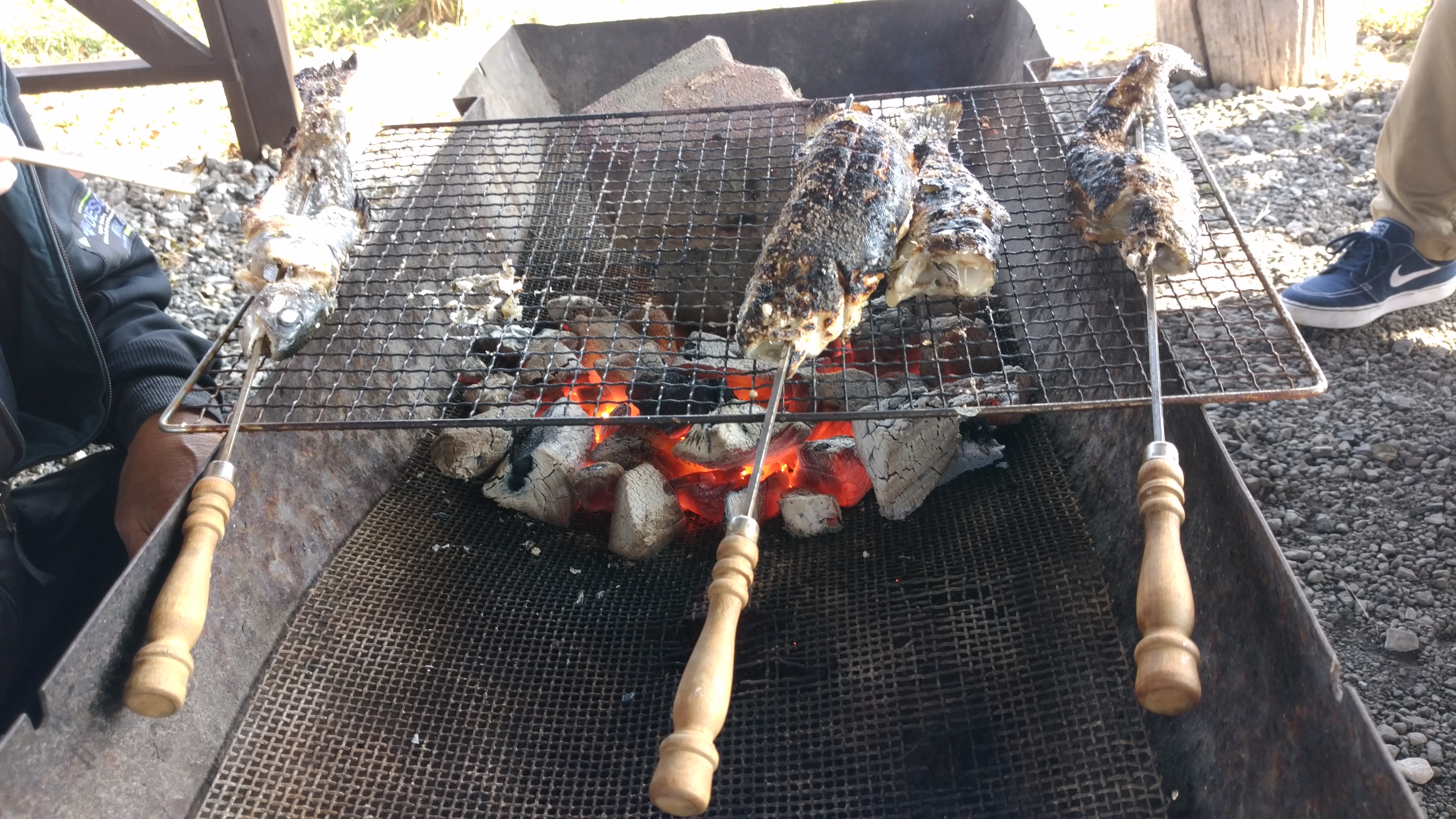 おつまみにも！！ニジマスの塩焼き