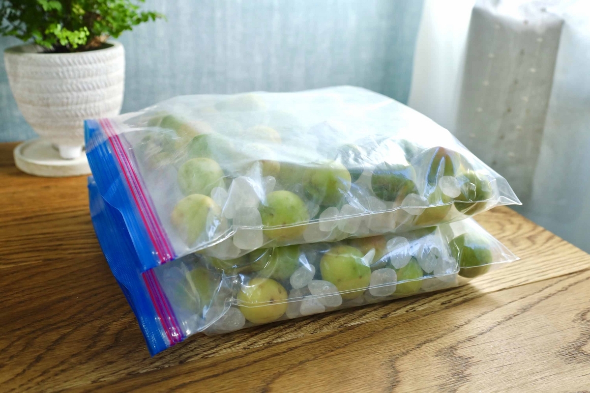 梅シロップ 実験の結果 : 生活のメモ Powered by ライブドアブログ