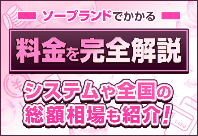 Amazon.co.jp: 吉原ソープ 道楽紀行: 日本最高峰の遊廓