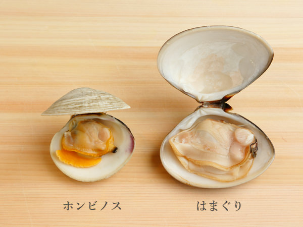 活貝３点セット はまぐり80g5個 さざえ100g5個 ホンビノス130g5個 ☆ 貝セット: まるか水産Yahoo!店 - 通販 -Yahoo!ショッピング