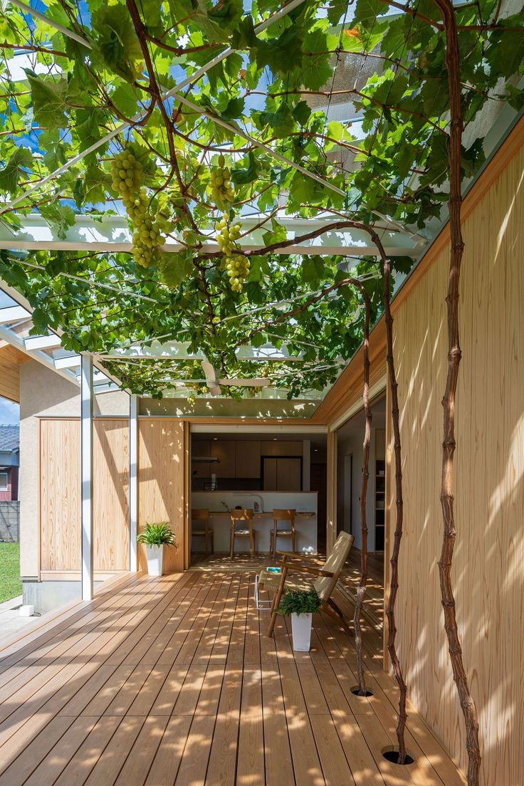 ブドウ棚のある家