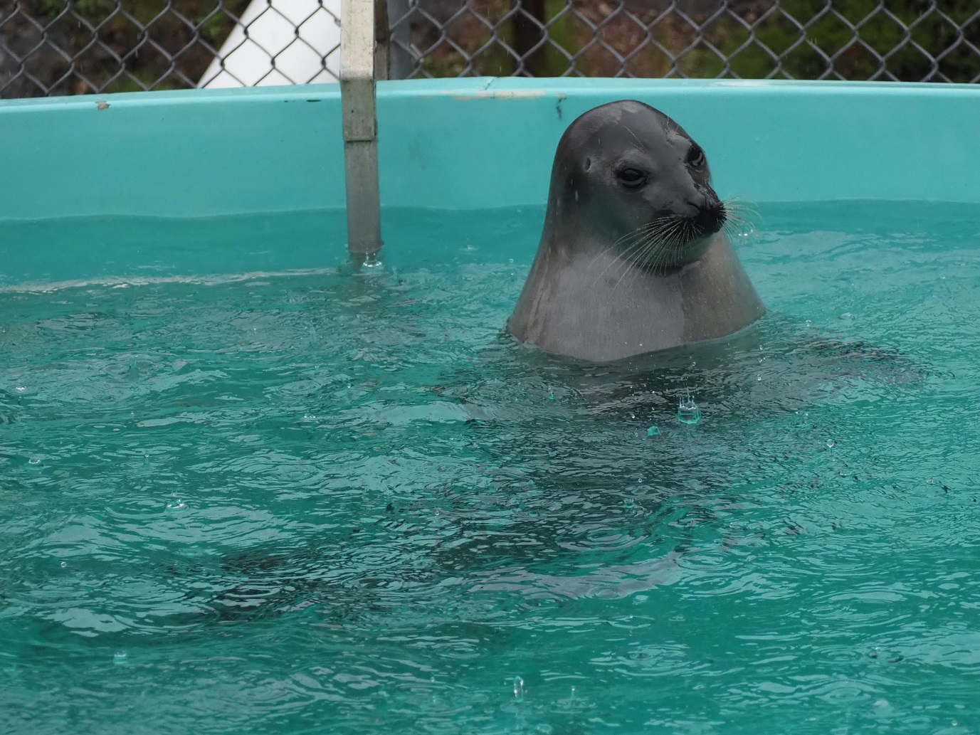 旅行最終日愛 LOVE New York