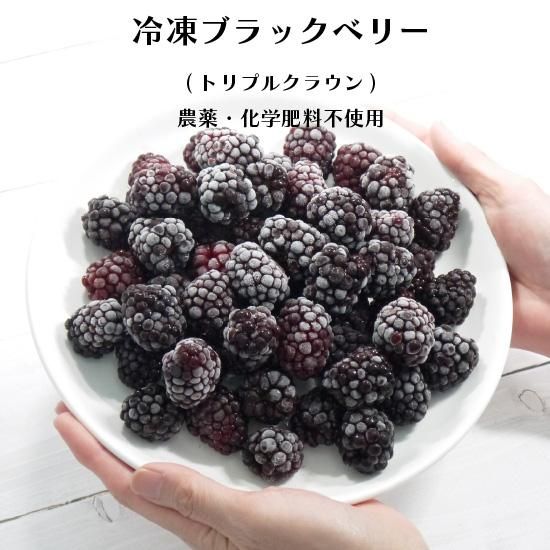 ブラックベリー 収穫タイミングが大事！本当の美味しさを知ってほしい果樹あつおの植物記録