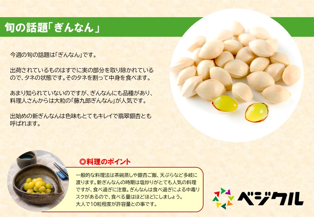 もうすぐ黄葉！「生きた化石」といわれる植物イチョウの木森ノオト