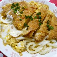 冷凍カツの簡単アレンジレシピ特集 メンチ・ヒレ・海老かつ冷凍食品・冷凍野菜はニチレイフーズ