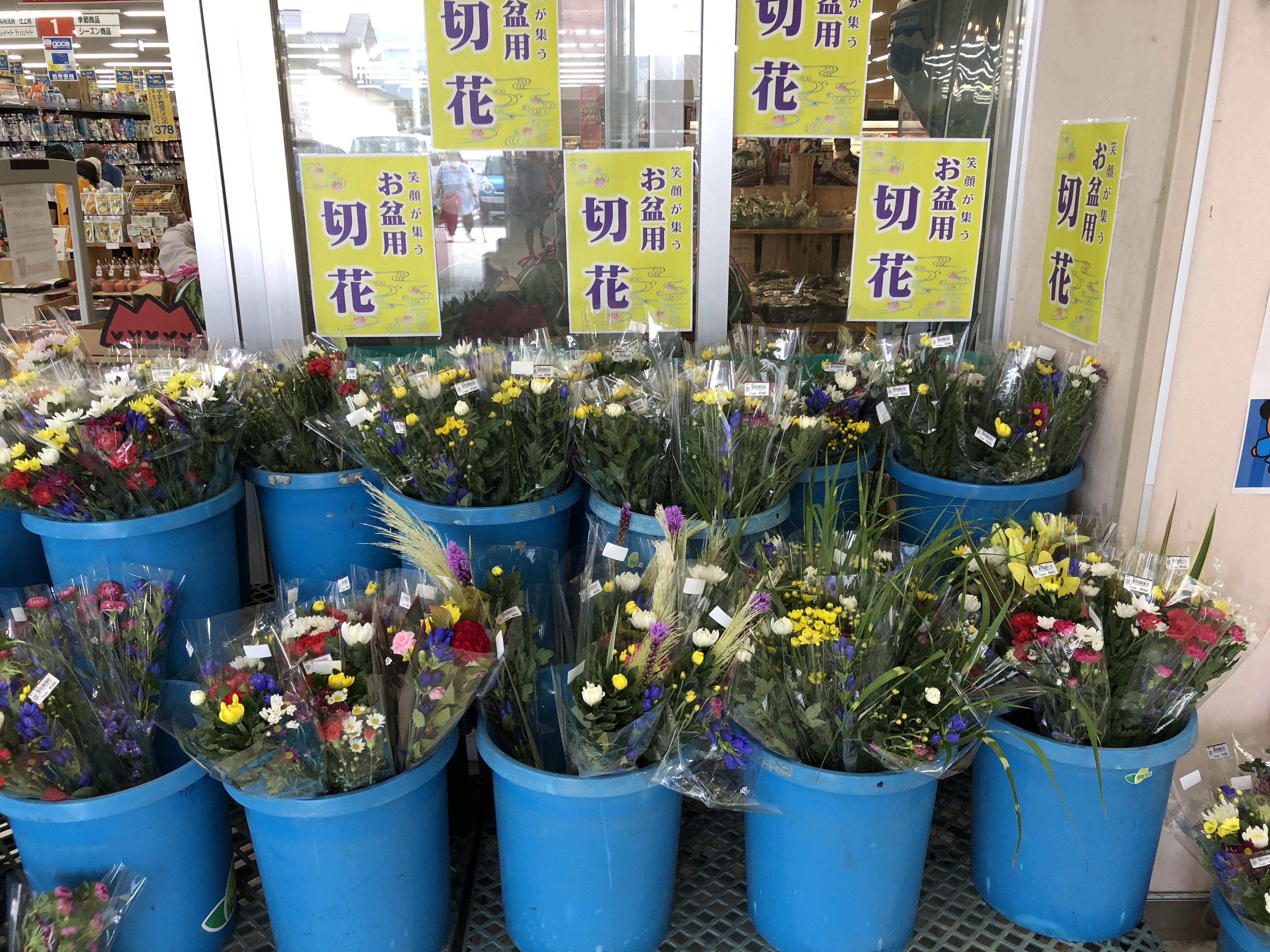 鮮度を守る温度管理・低温流通 – 豊明花き株式会社