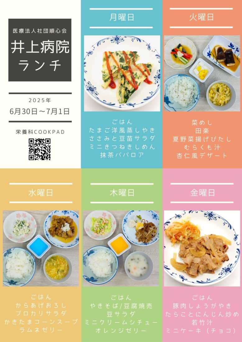 誰でも千切り名人になれる！？ダイソー「ワイドピーラー 80mm」でキャベツを“ガツガツ”カット！CHANTO WEB