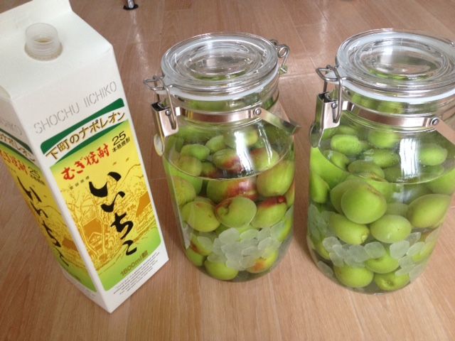 梅と塩と焼酎だけ!ポリ袋で作る超簡単梅干しの作り方布小物作家Chim. 花柄合わせの物づくり