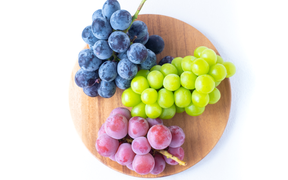 楽天市場 ゴルビー 御所の種無しぶどう ゴルビー 2房約1.3kg和歌山 観音山フルーツガーデン 送料無料 : 観音山フルーツガーデン楽天市場店