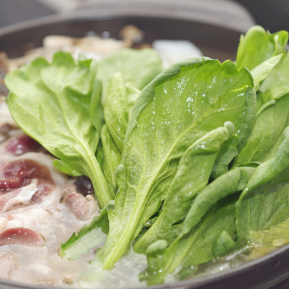 加賀野菜『金沢春菊』進化し続ける伝統野菜！株式会社まつの