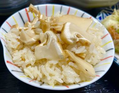 雪国まいたけの炊き込みご飯シリーズから松茸風味の新商品 ~『えりんぎごはんの素』を3月1日より発売~株式会社雪国まいたけプレスリリース配信代行サービス『ドリームニュース』