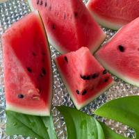スイカの切り方はこれが正解! 甘さが均等で種も取り除きやすい プロのコツ東京ガス ウチコト