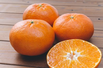 ネットに入ったミカン 写真素材1709956- フォトライブラリ