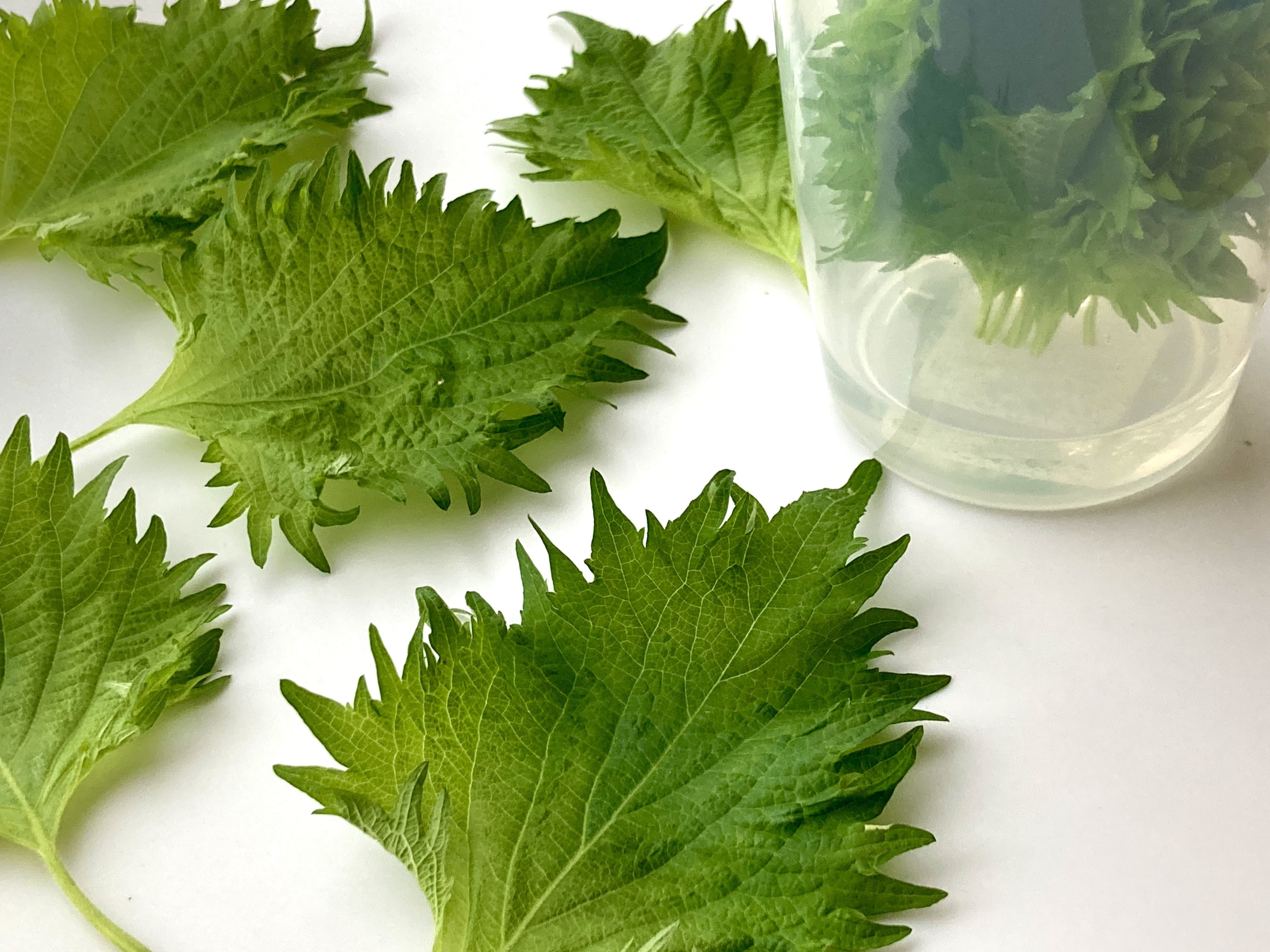 残った青じそはバターに混ぜて冷凍しておくと便利！ささっとできる副菜4品サンキュ