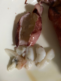 ゆめデリバリーyoume delivery - ゆめタウン公式ネットスーパー グラム売 ボイルやりいか 約160ｇ: お魚