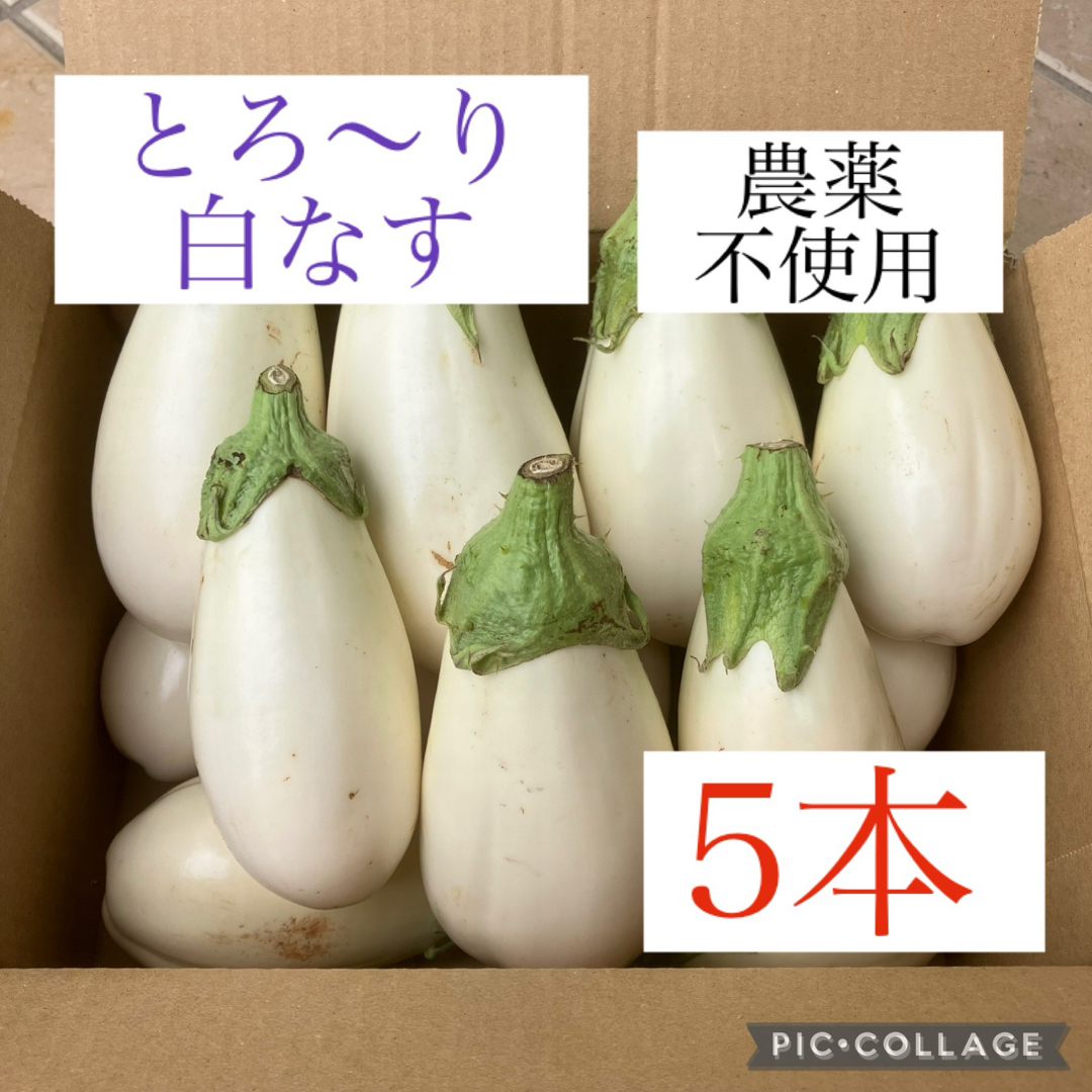 とろジュワ食感 白なす 知ってる？人気レシピと絶品食べ方アイディアオレンジページ ニュースデイリーオレンジページnet