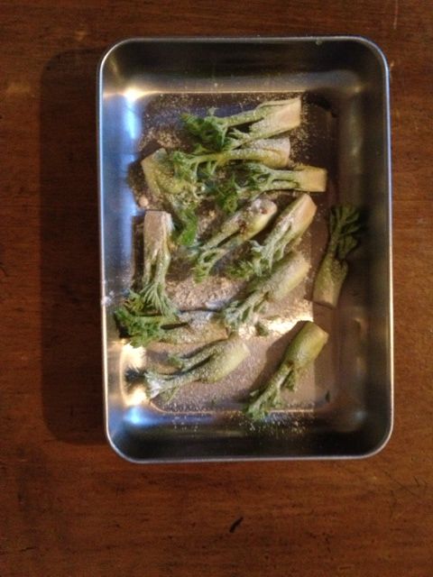 タラの芽のチーズ焼きたいすけのブログ ｉｎ 香港 → 東京