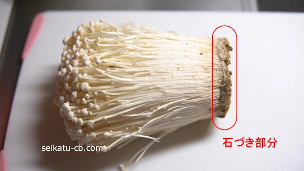 まいたけの石づき 根元 はどこまで切るの？きのこの疑問に答えるシリーズ関東きのこの会