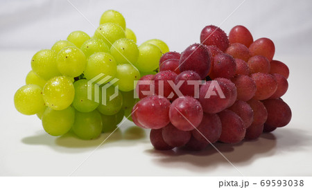 ハニービーナス ぶどうForestPhoto Next