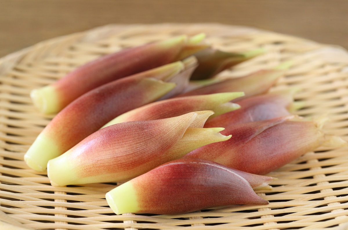 はじかみ生姜とは？焼き魚に添えられている白とピンクのあしらいを紹介！食・料理オリーブオイルをひとまわし